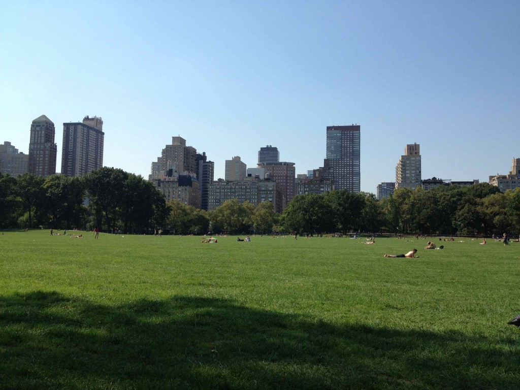 View From Picnic Spot In Central Park