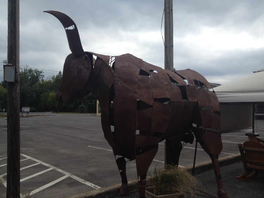 Brewerton Bull (maybe this one would be a good replacement for the one on Wall Street?)