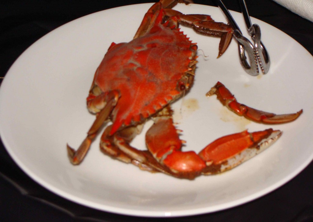 Goodnight Mr. Crab