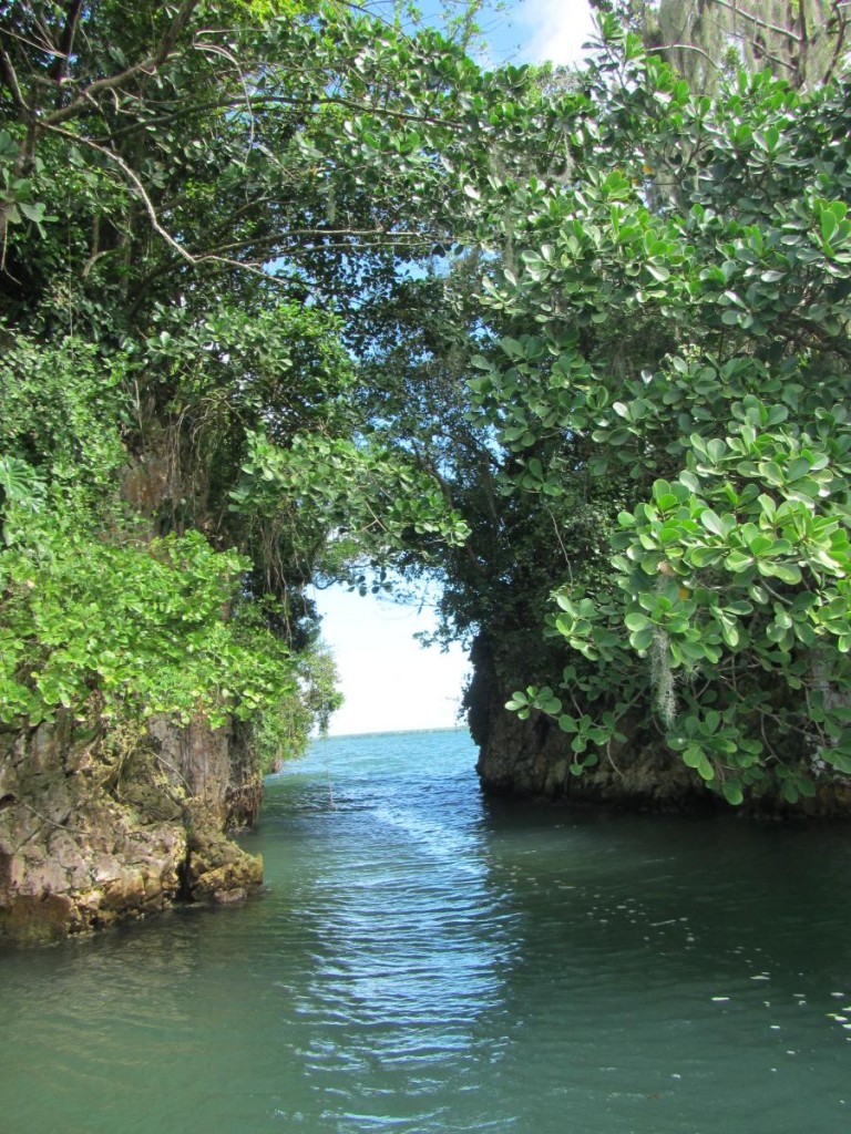 Channel Between Islets