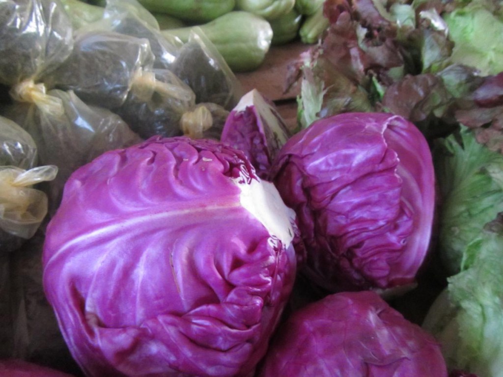 Perfect Purple Cabbage