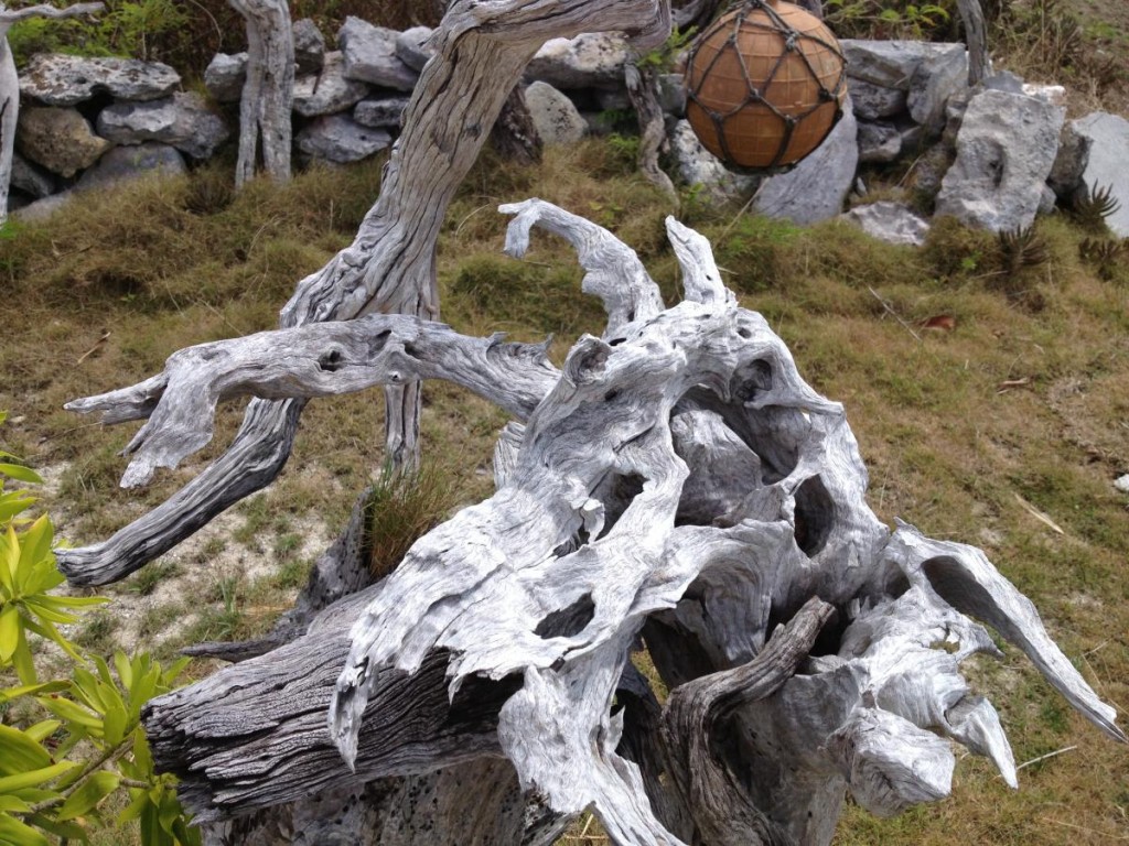 Garden of Eden - Driftwood Sculpture