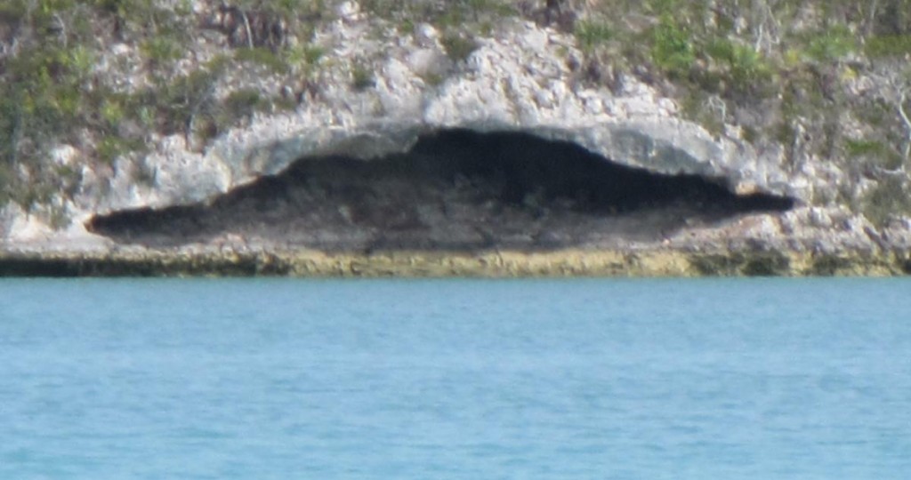 Caves in The Pond